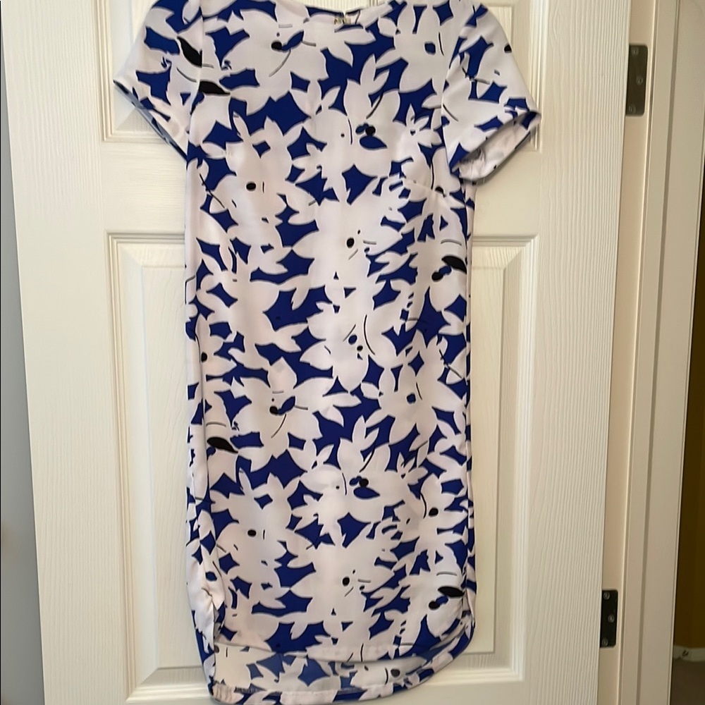 Floral Blue and White Dress